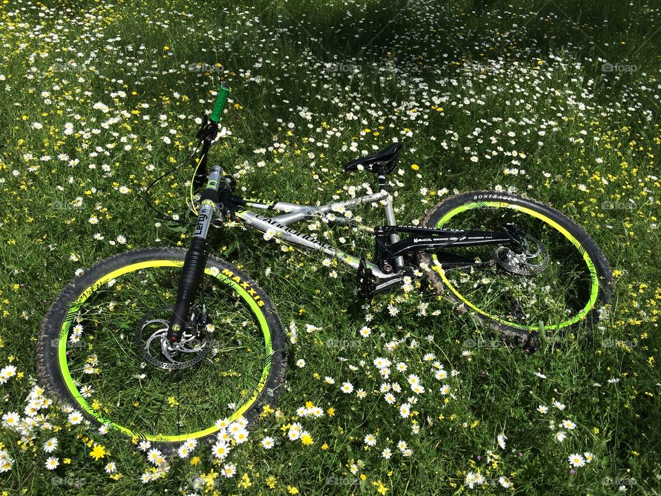 Bike on grass