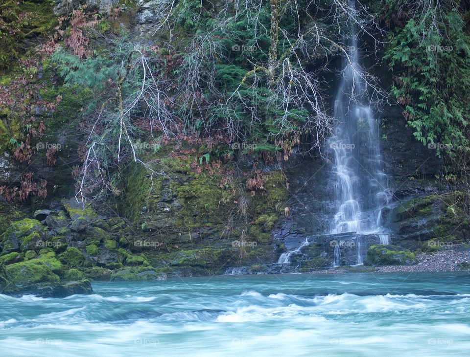 Water, Nature, Waterfall, River, Wood