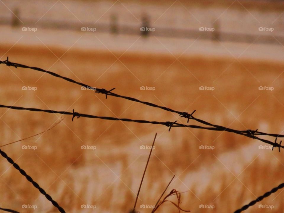 Through the barbed wire 