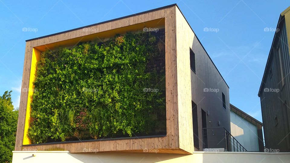 Original Architecture combining a green wall with other building facades in the center of a small French village