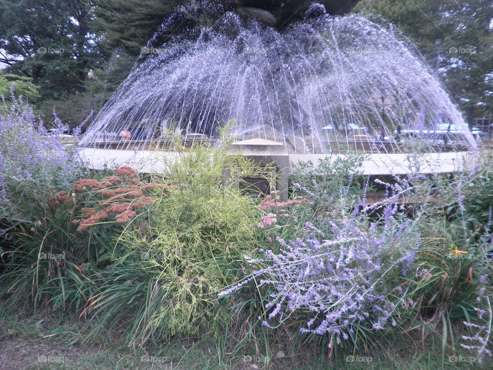 Providence Fountain