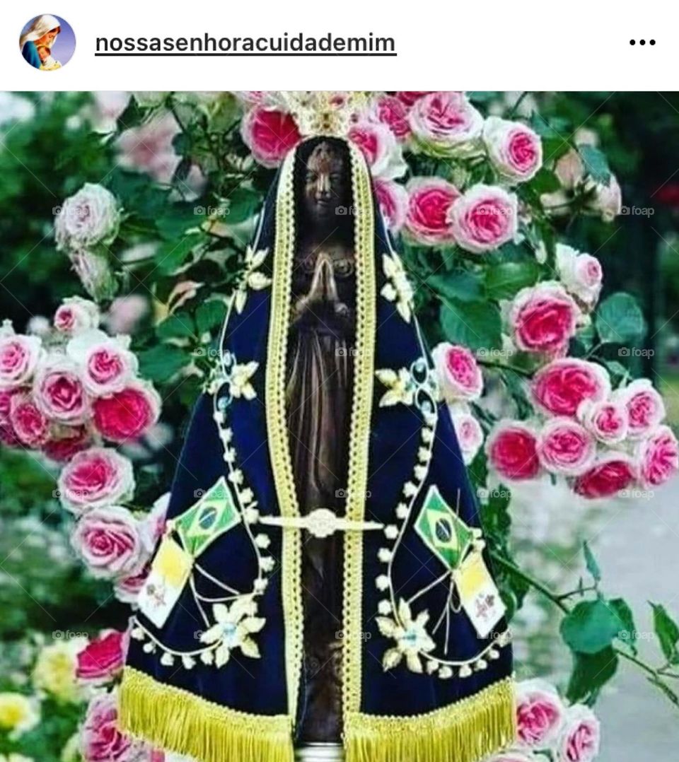 🙏 🇪🇸 Oh Maria, ruega por nosotros que recurrimos a ti.  Amén.  🇧🇷 Ó Maria, Nossa Senhora, rogai por nós que recorremos a vós. Amém. / 🇺🇸 O Mary, pray for us that we turn to you.  Amen. / 🇮🇹 O Madonna, prega per noi che ci rivolgiamo a te. Amen. 