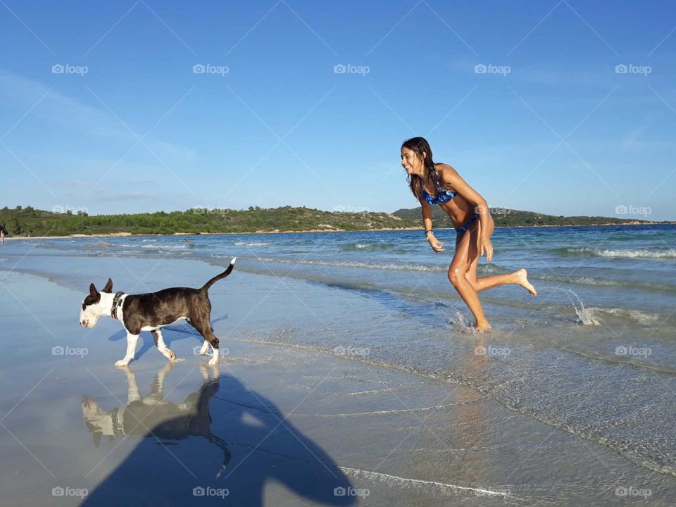 Menina praia cachorro