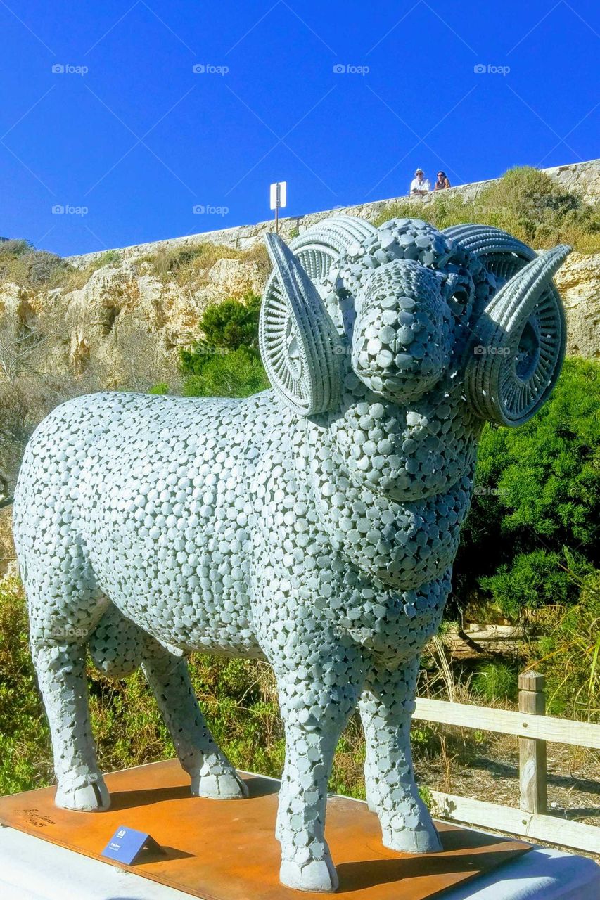 Merino