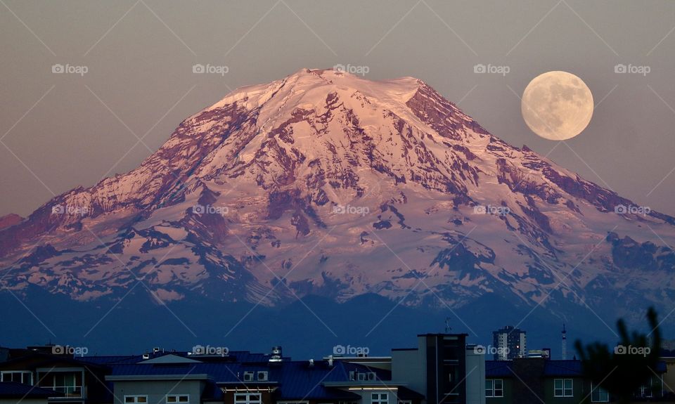 A full harvest moon rises from behind majestic Mount Rainier on a clear summer evening