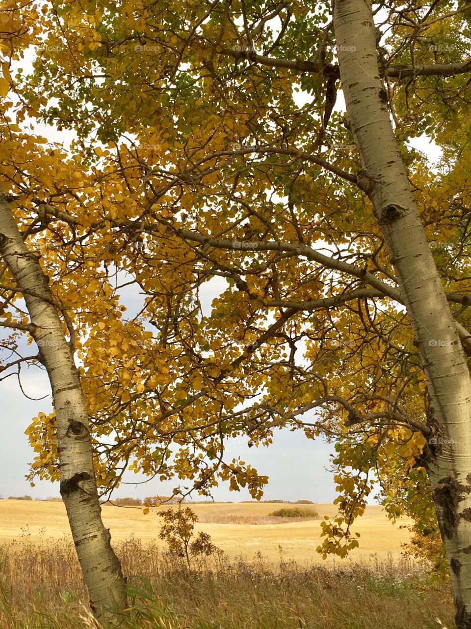 Signs of autumn