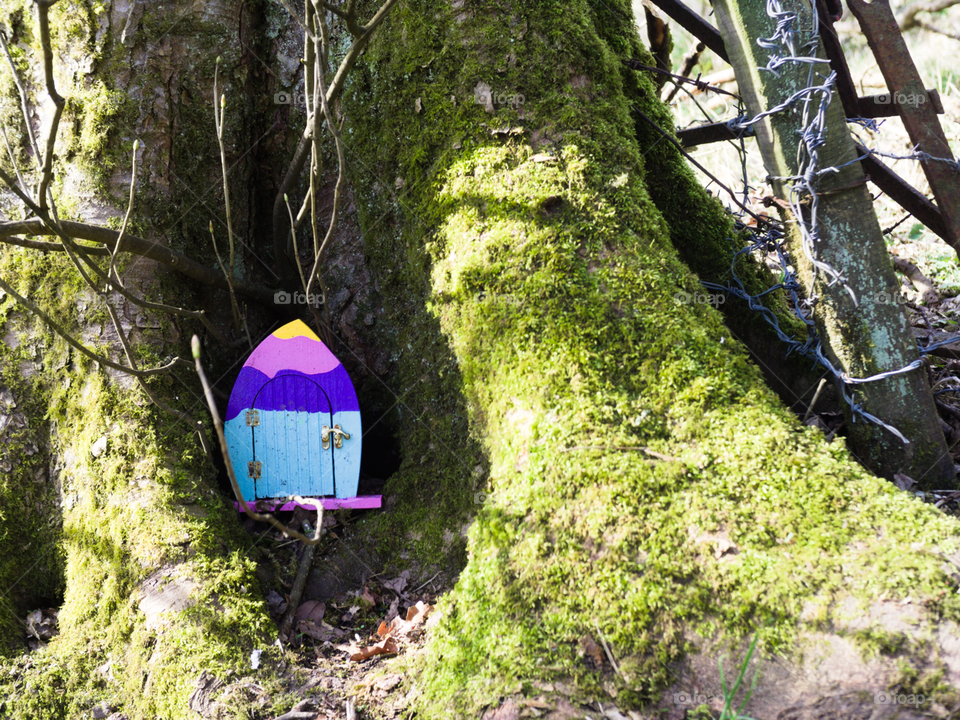 Fairy door