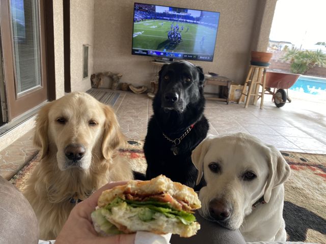 Dinner time 