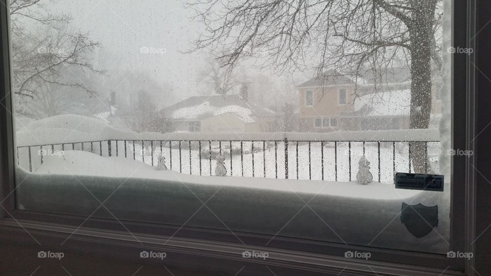 Winter, Snow, Fog, Frost, Cold