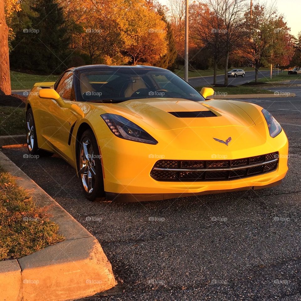 Corvette