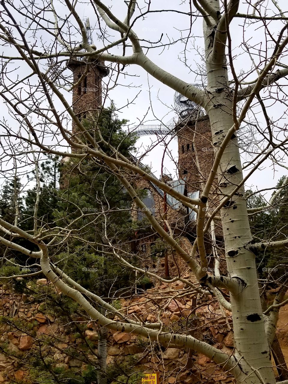 Castle Through the Tree