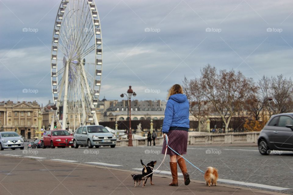 Woman walks in the city  with her three dogs