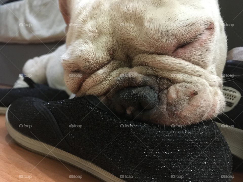 Shoe Coma