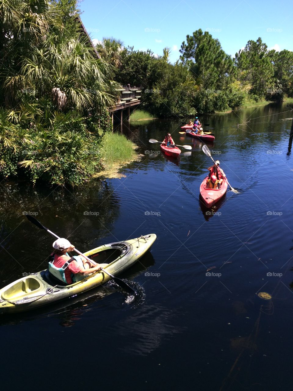 Kayaking Down The River