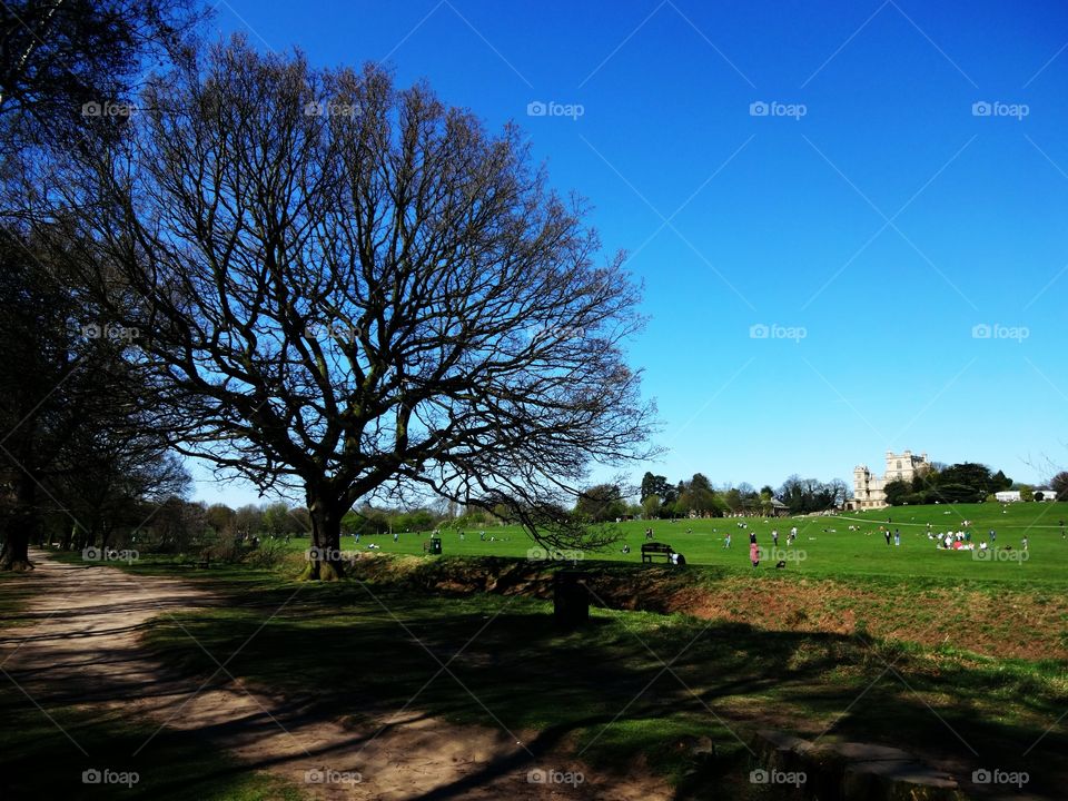 landscape. springtime