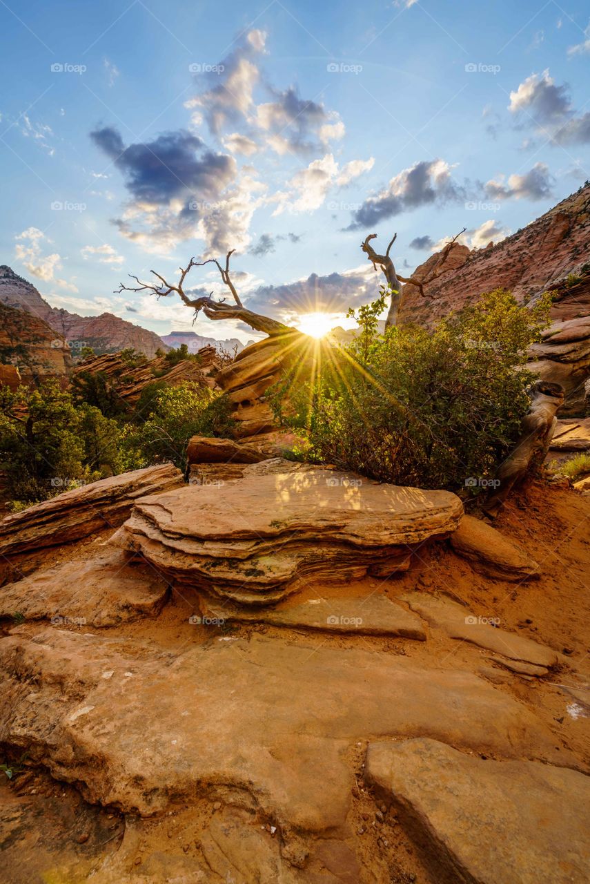 Sunrise Zion National Park