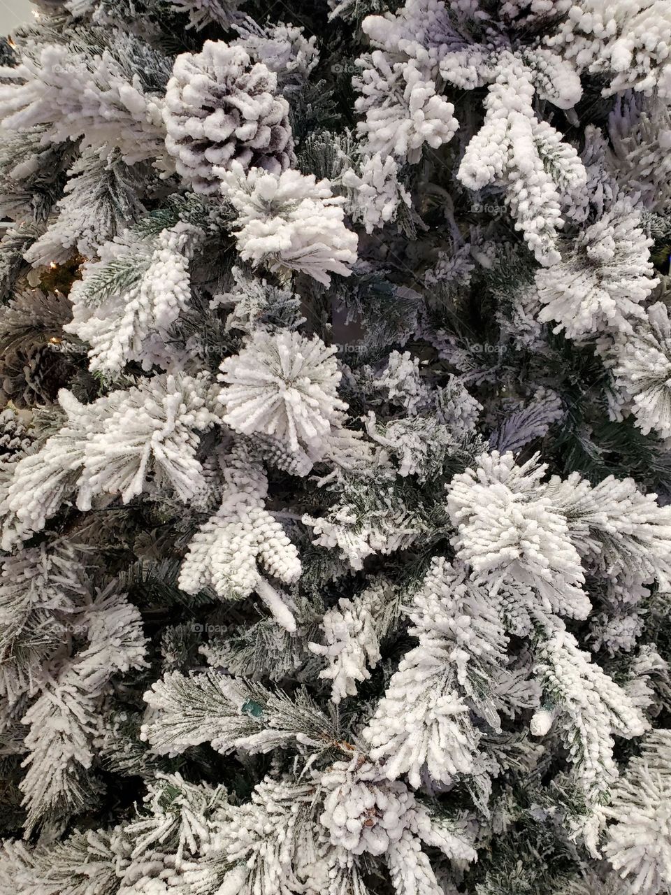 Christmas Tree of Snow