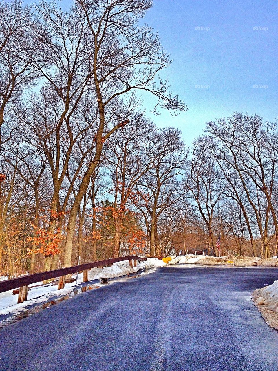 roadway pathway branch season by jmh