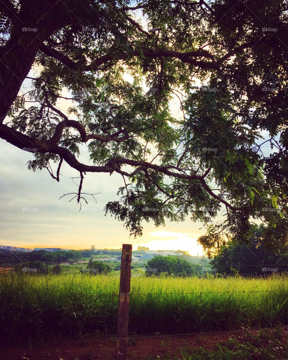 🌅Amanheça, #Jundiaí!
Tem lugar mais bonito no mundo do que a nossa Terra da Uva?
Ótimo domingo.
🍃