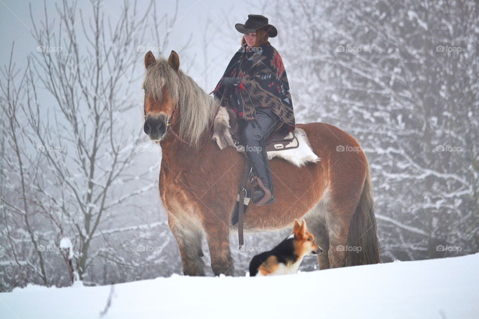 Girl riding her horse and a dog at their side