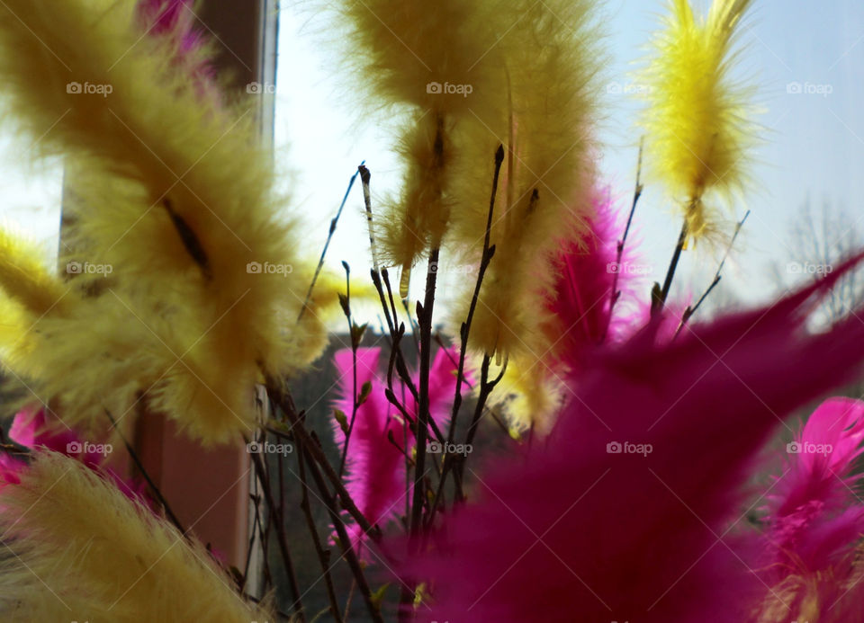 Easter feathers