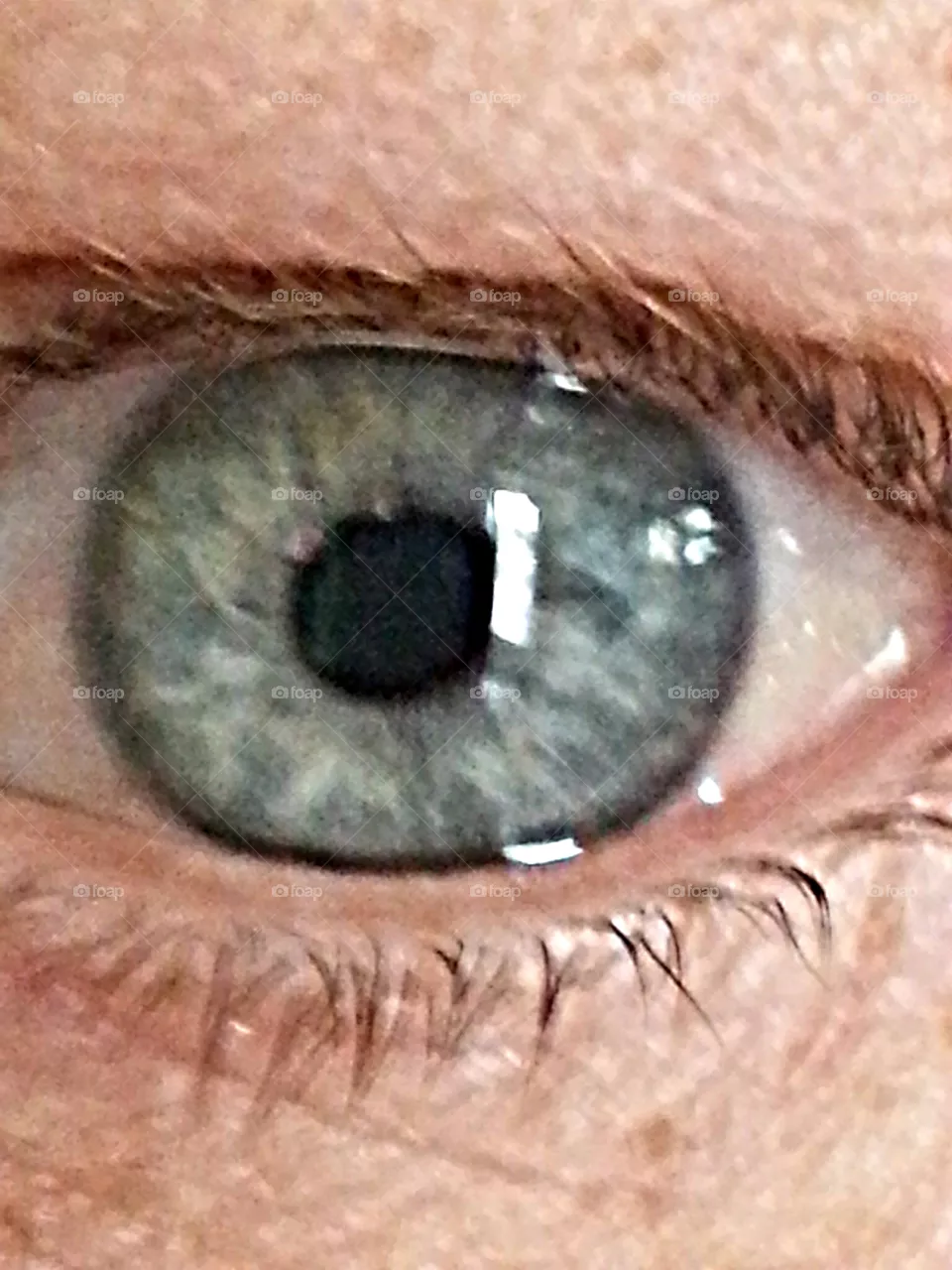 the eyes