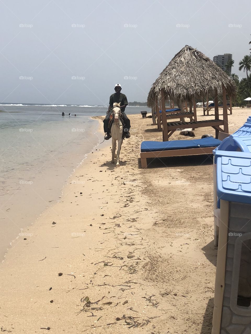 Horse in the beach 