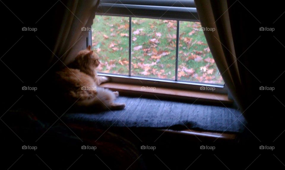 Tom, enjoying his view