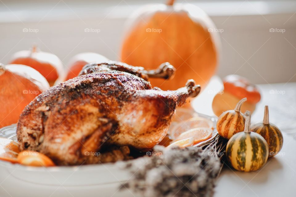 turkey, pumpkin, Thanksgiving, chicken, grill, pumpkin, holiday,