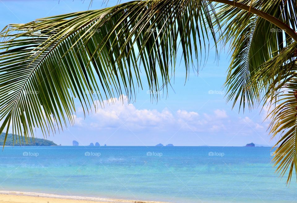 Let the Vacation begin.