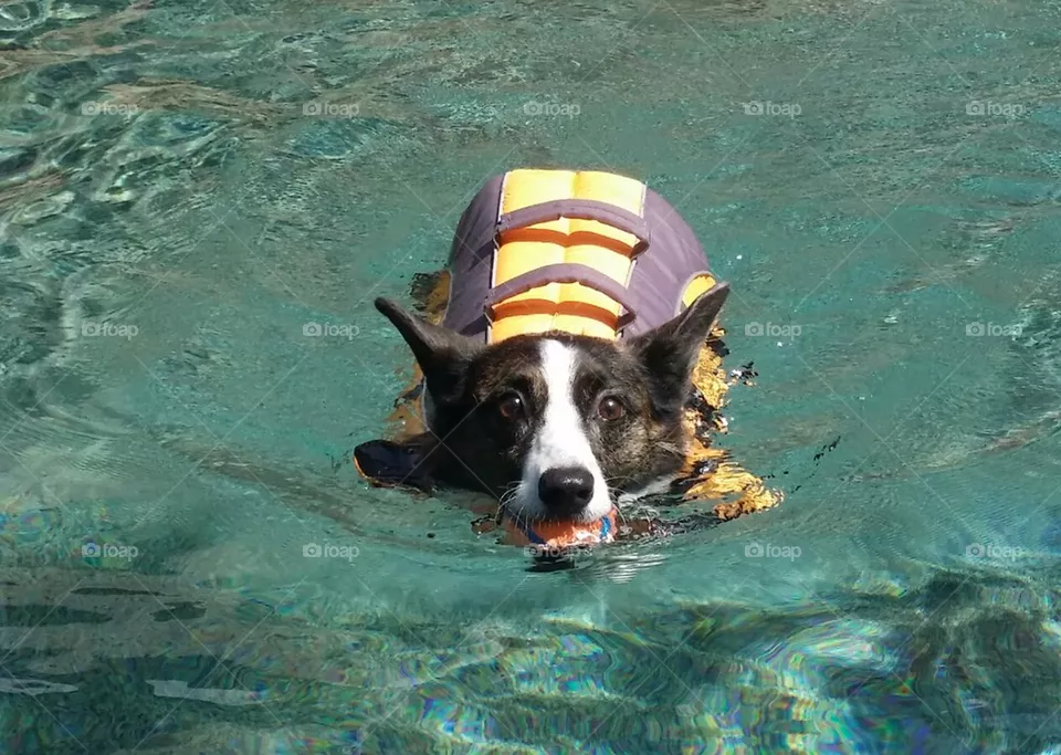 swim time