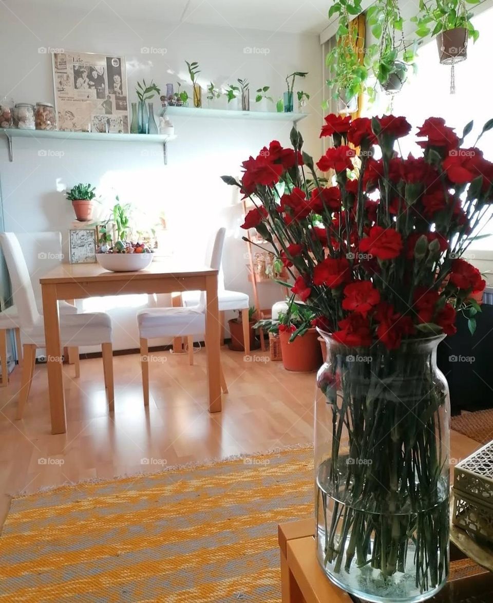 Red chrysanthemums in a vase