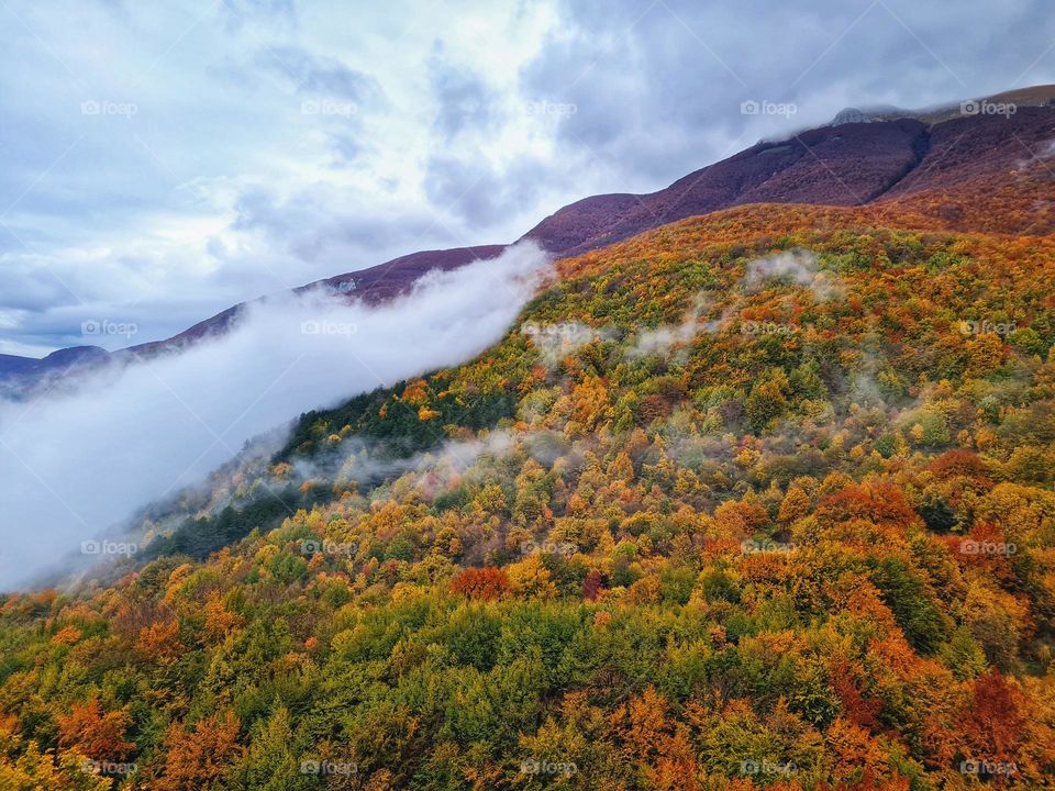 mountain in autumn covered with trees of a thousand colors and mist