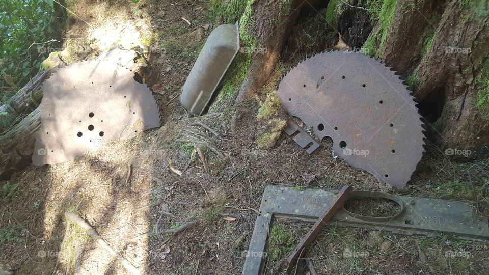 Historical trail, old saw blade