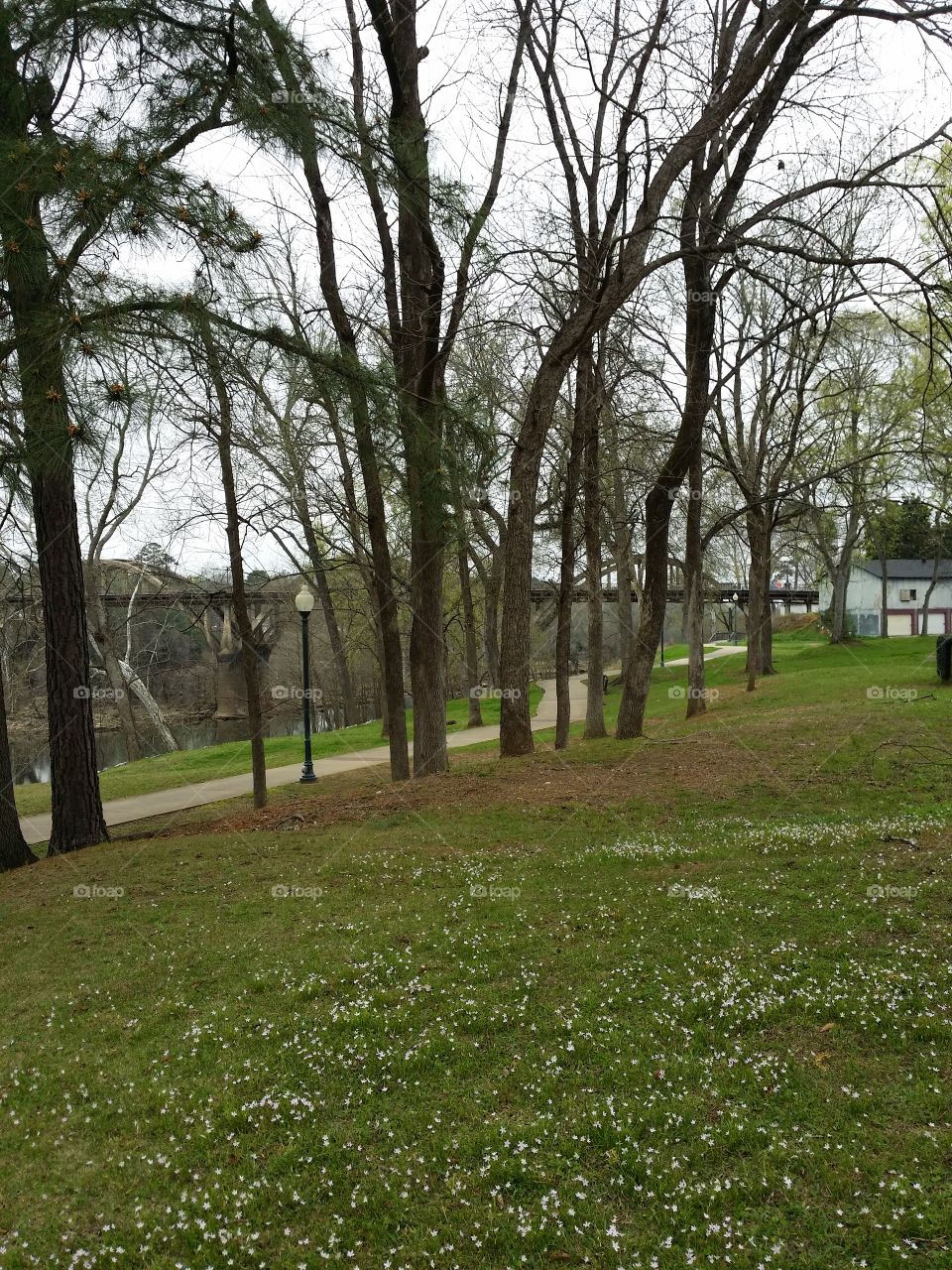 Tranquil hillside path in early spring in Alabama.