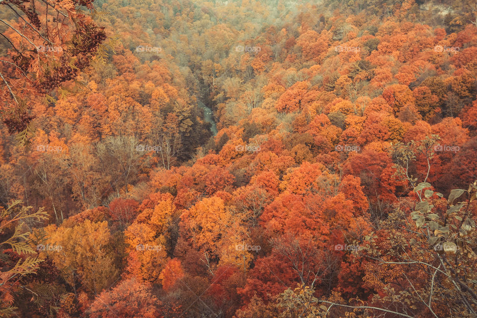 Gorgeous Canadian autumn