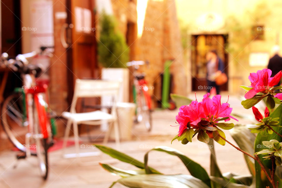 PIENZA'S FLOWER