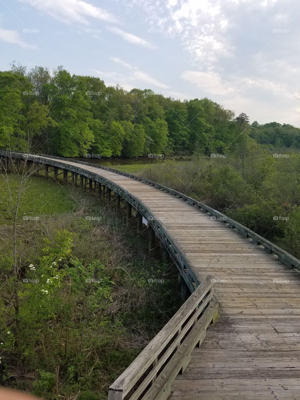 a bridge in a Maryland wildlife sanctuary