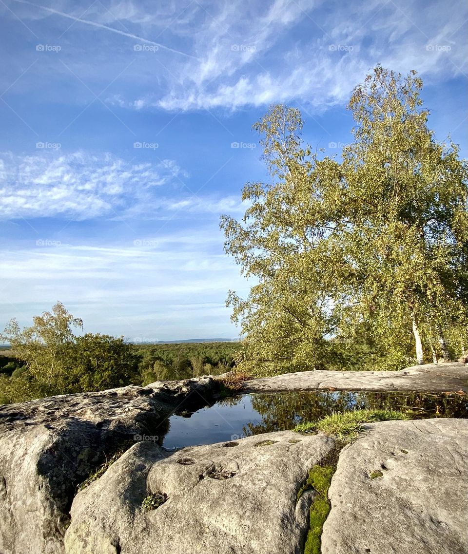 Forest , trek October 2022 . 