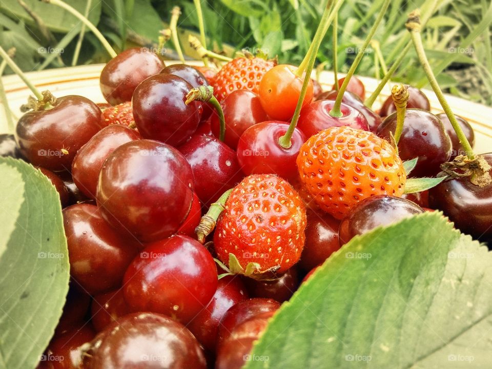 summer,fruits