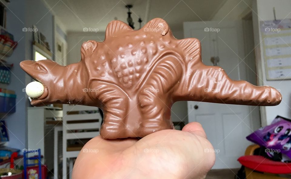 My son’s chocolate dinosaur balancing on my palm. This is his Easter treat. No smarties 