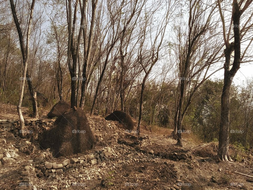 Vacay? Ready, steady, go!