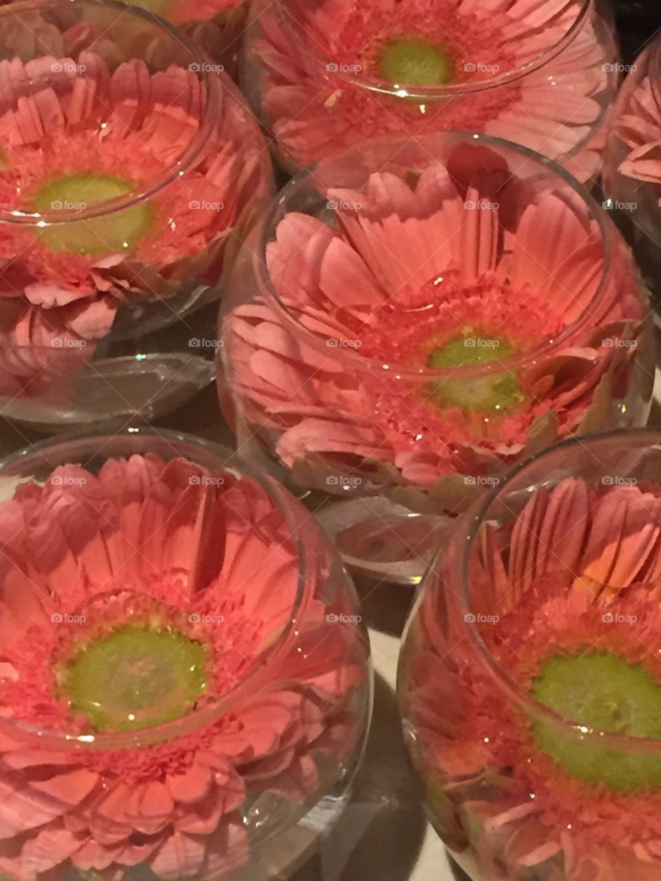 Gerbera flowers set arrangements 