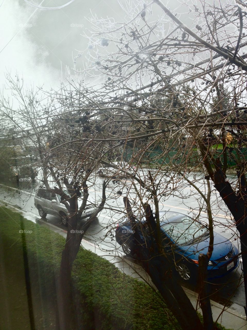 Gloomy Rainy Storm Weather

Published by:
HappyBrownMonkey 