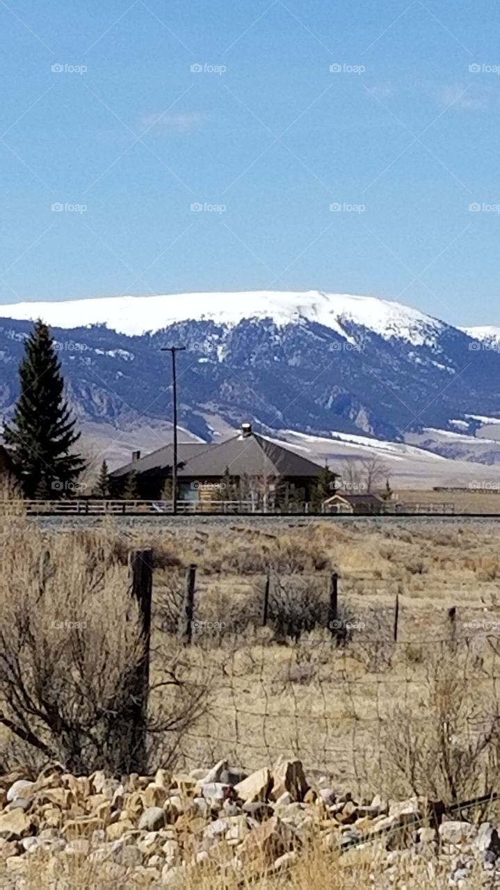 Sings of Spring in the Mid West