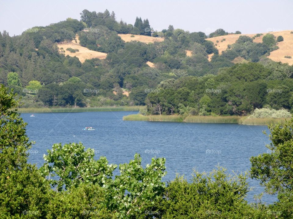 Lafayette Reservoir 