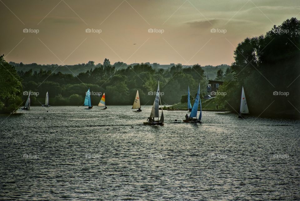 Sailing. Lake