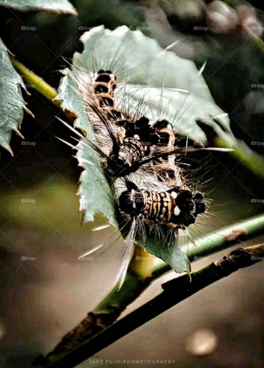 A most beautiful and attractive view in the garden.
