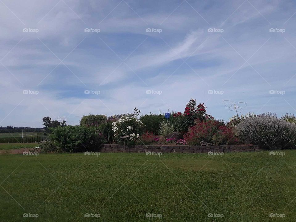 Gardens around the farm