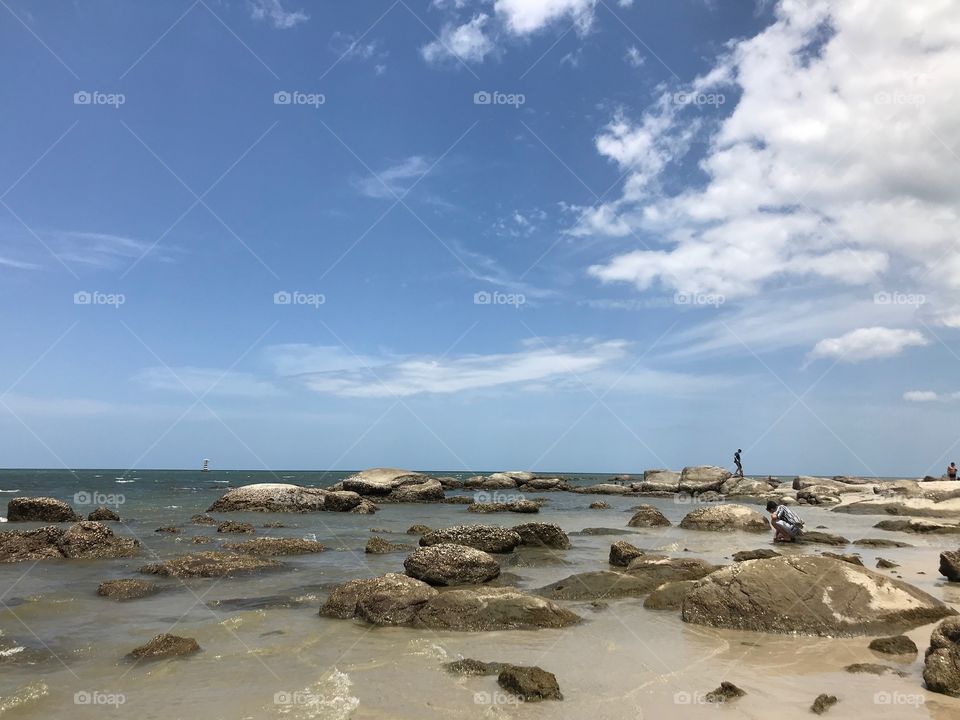 The rocks in the sea